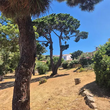 T3 Renove Vue A Avec Climatisation Corbara